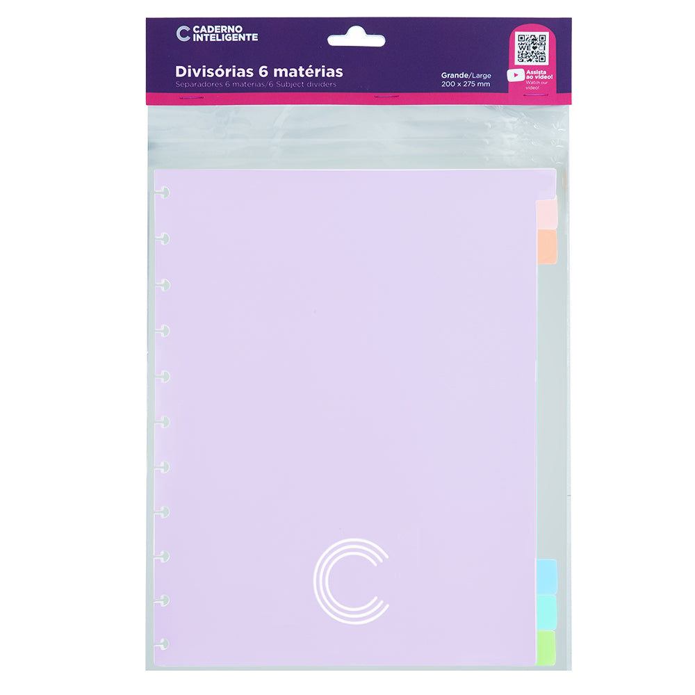 Pacote da Divisória de 6 matérias. Tamanho grande.