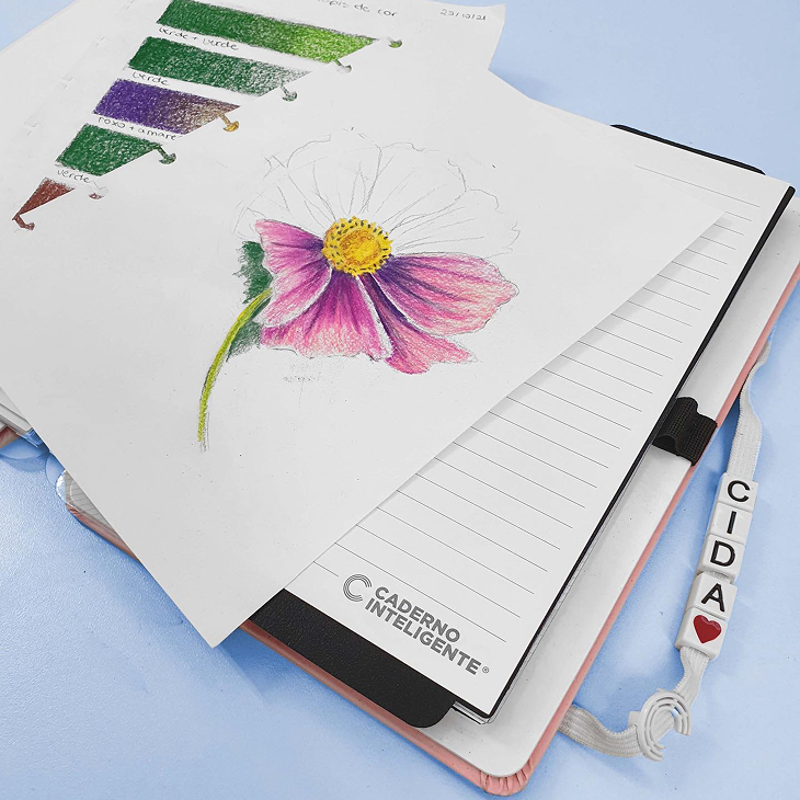 Usos variados de folhas, exemplo com um desenho.