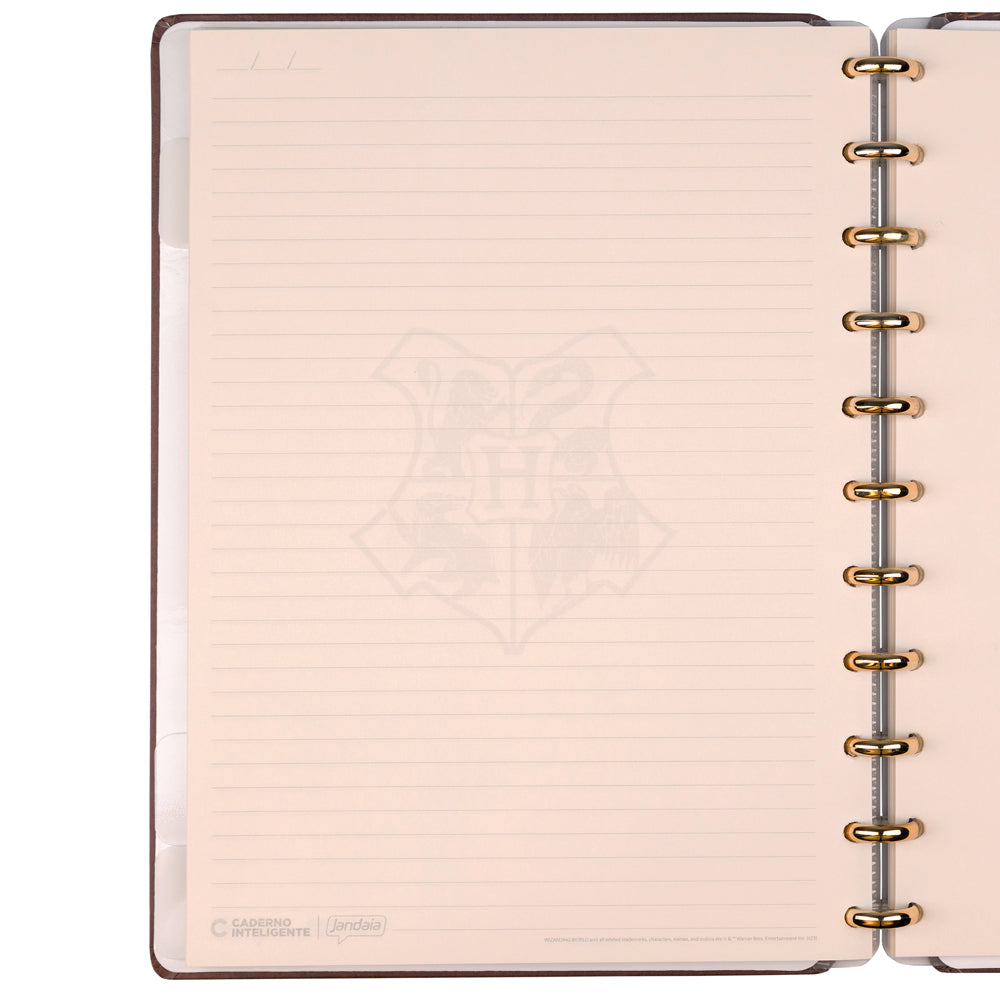 CADERNO CI BY HARRY POTTER CHAPÉU SELETOR