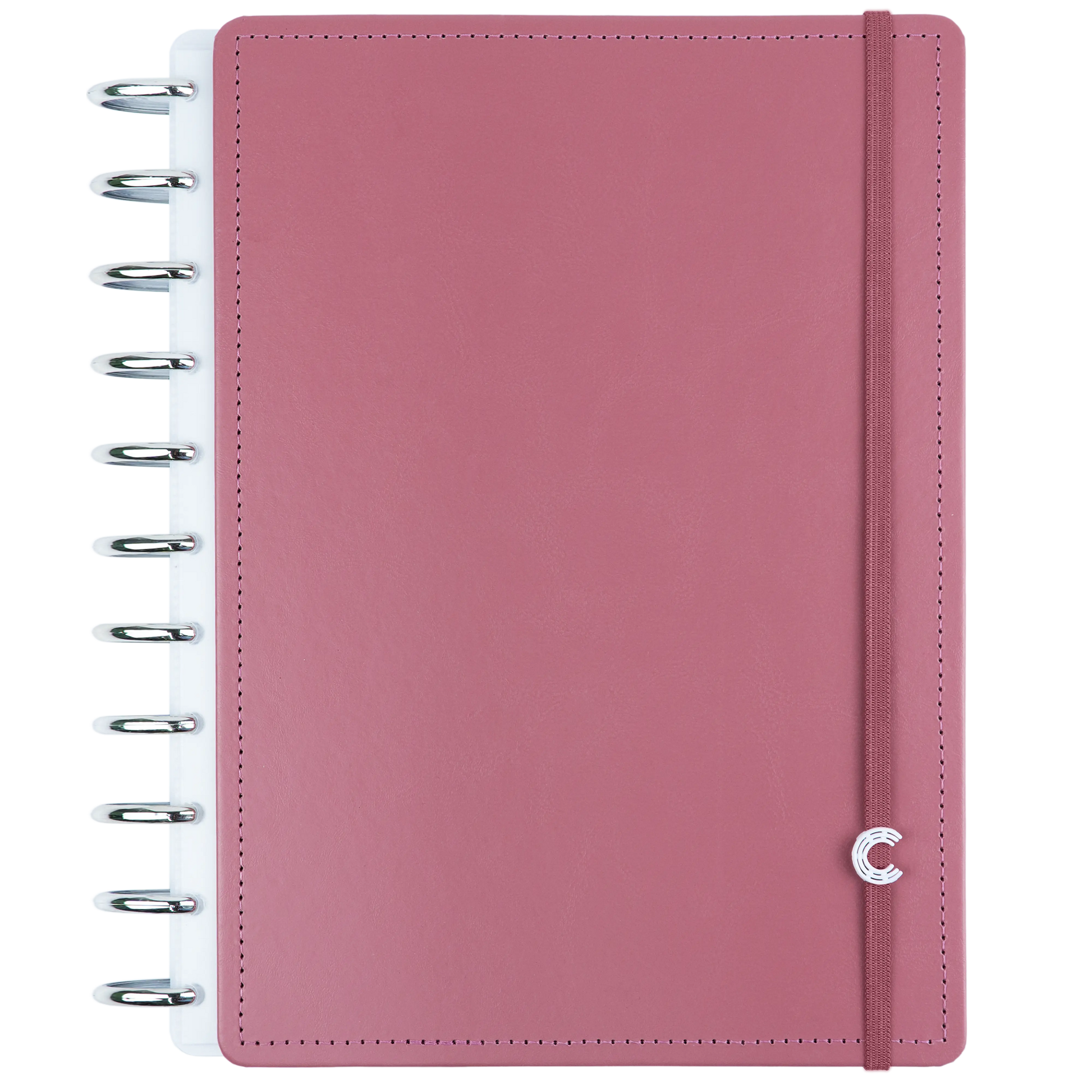 CADERNO 10 MATÉRIAS GUAVA Caderno Inteligente Lojista