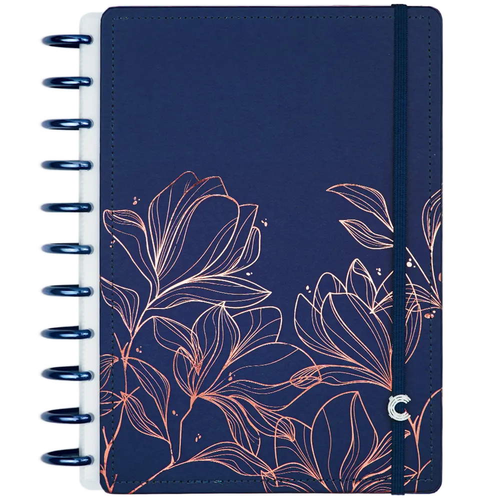 CADERNO BT DREAM 10 MATÉRIAS Caderno Inteligente Lojista