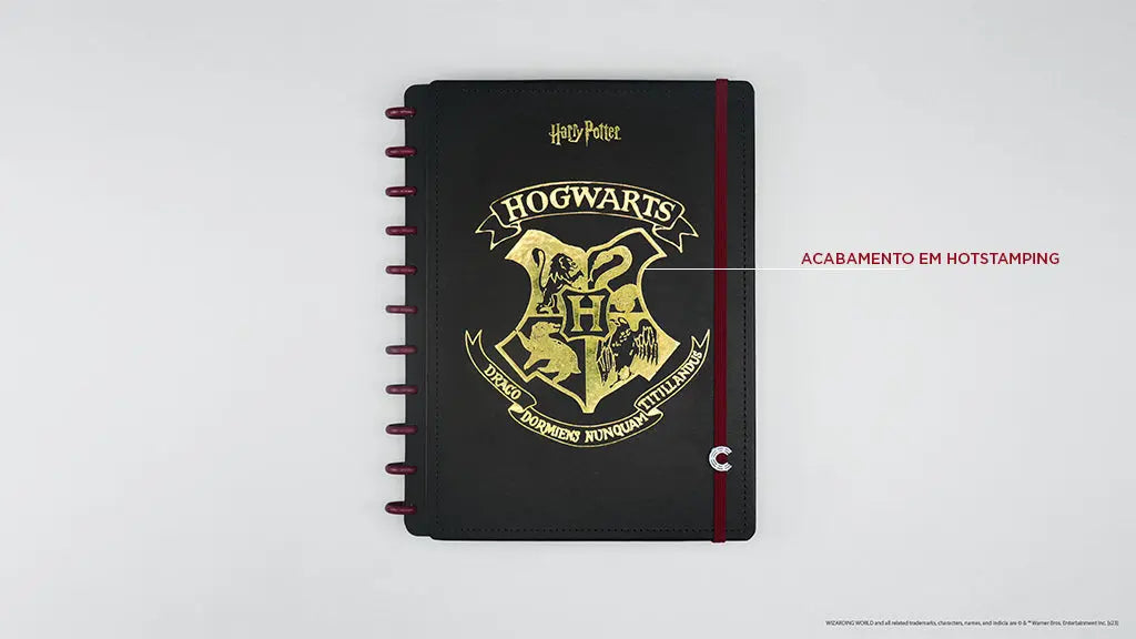 CADERNO CI BY HARRY POTTER Caderno Inteligente ®