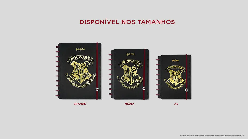 CADERNO CI BY HARRY POTTER Caderno Inteligente ®