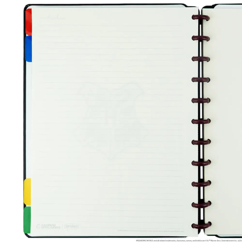 CADERNO CI BY HARRY POTTER Caderno Inteligente ®