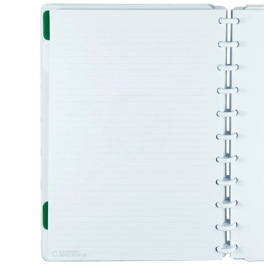 CADERNO PALMEIRAS ALVIVERDE Caderno