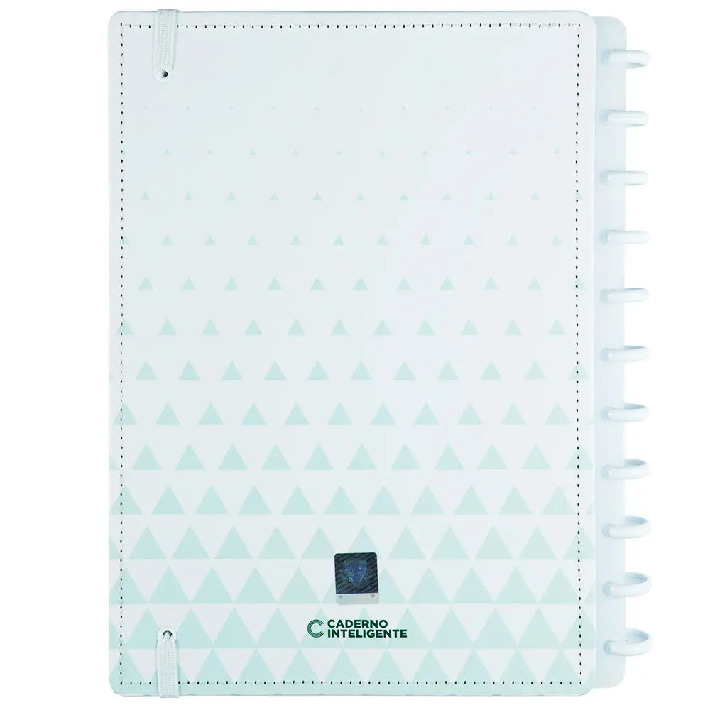 CADERNO PALMEIRAS ALVIVERDE Caderno