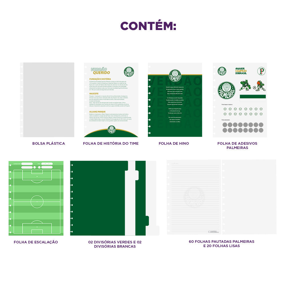Conteúdo do Caderno Inteligente do Palmeiras.