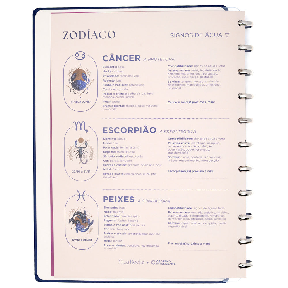 Caderno Mica Rocha A culpa é do Signo