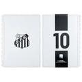 CAPA E CONTRACAPA SANTOS Caderno Inteligente ®