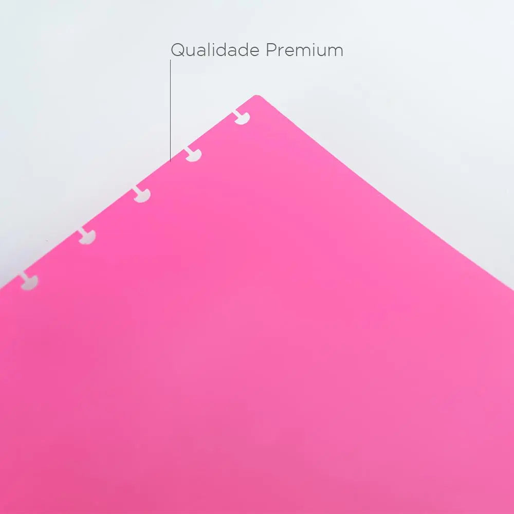 DIVISÓRIAS DUO PINK Caderno Inteligente ®