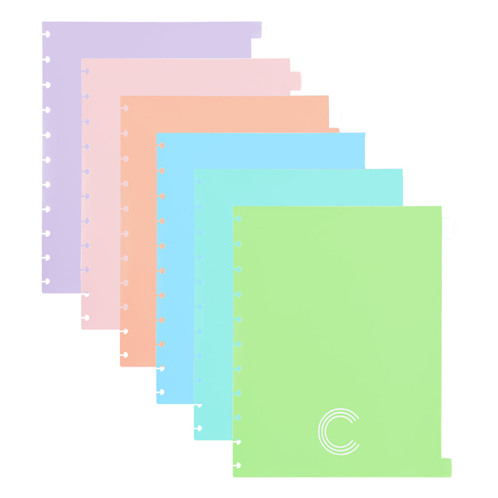 6 divisórias de cores diferentes, tamanho grande.