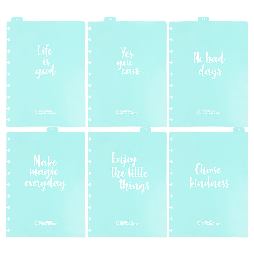 6 Divisórias inspire, tamanho médio.