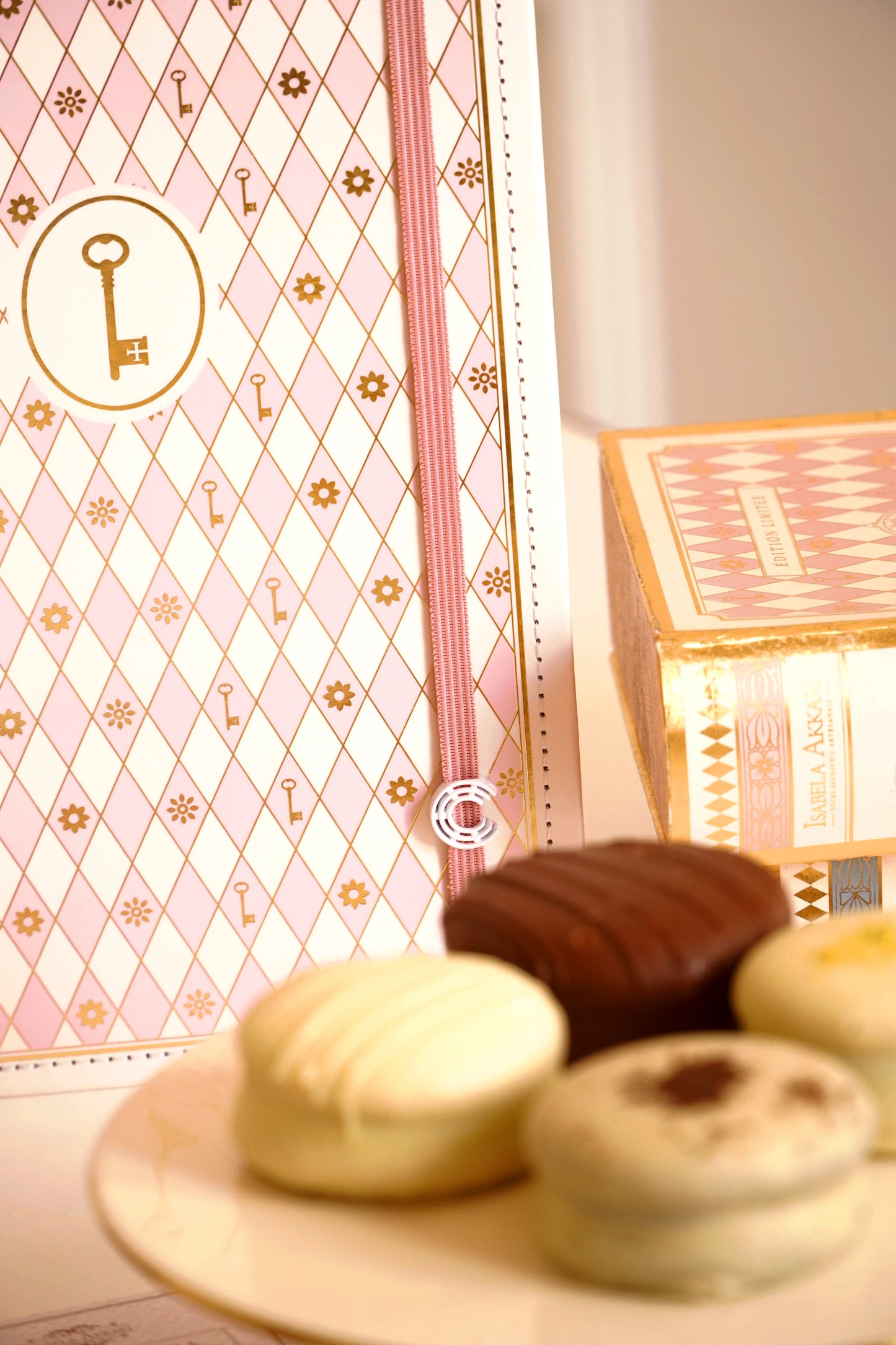 Divulgação do Caderno Inteligente por Isabela Akkari.