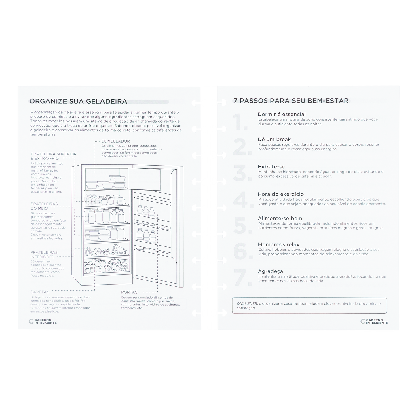 REFIL PLANNER ORGANIZER Caderno Inteligente Lojista