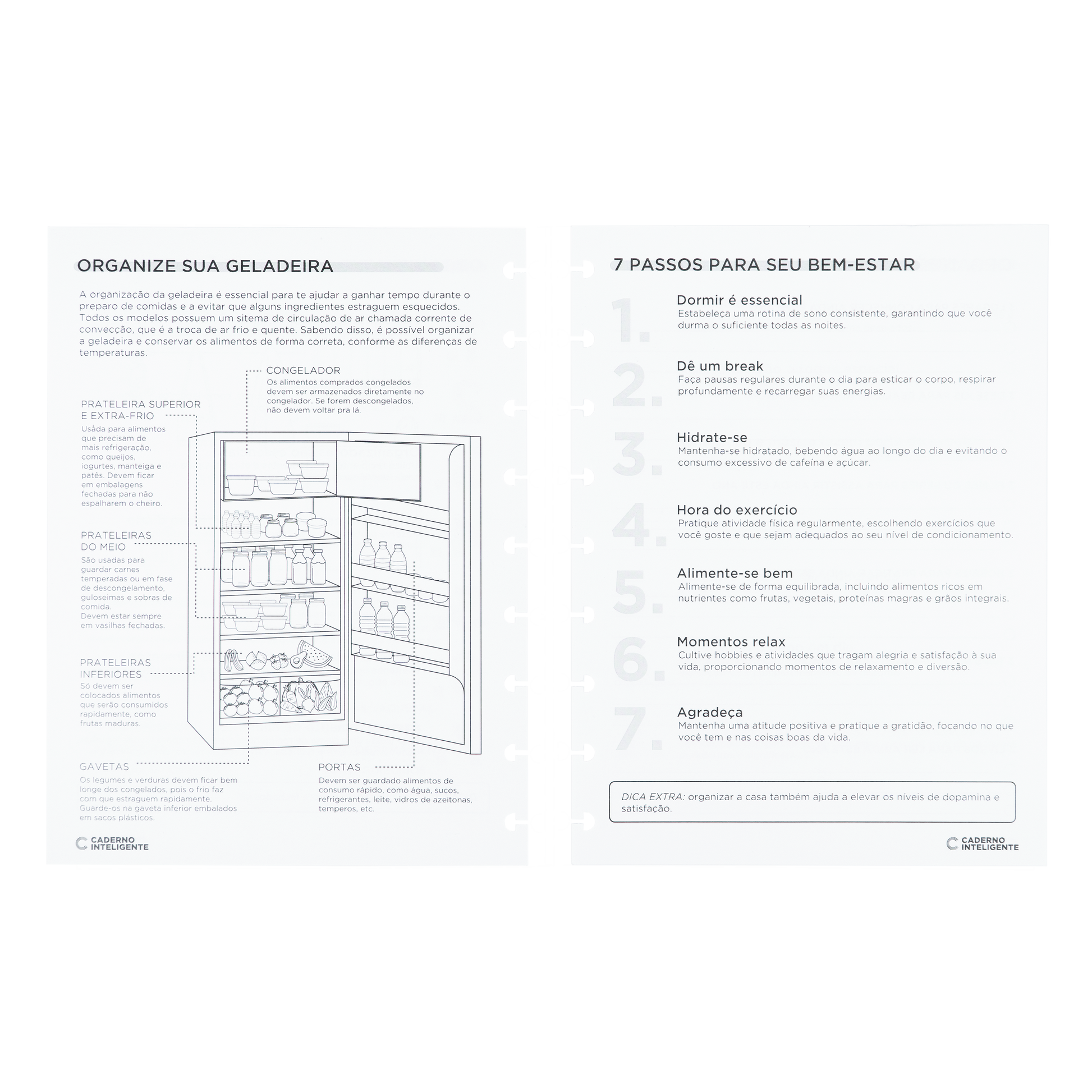 REFIL PLANNER ORGANIZER Caderno Inteligente Lojista