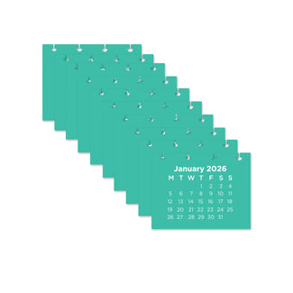 Refil Calendário - Meses 2026