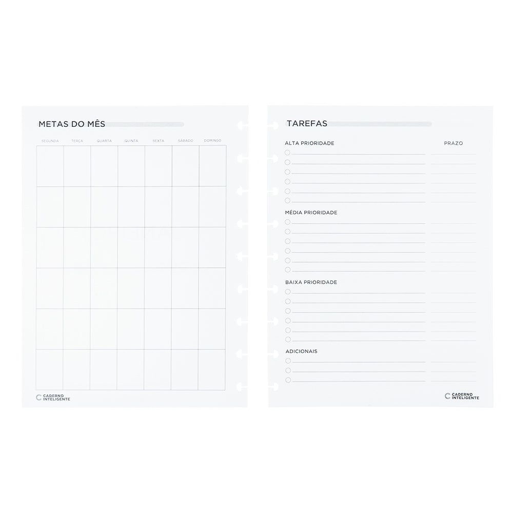 Metas do mês e tarefas.