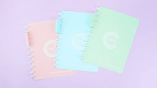 Pasta Organizadora Pasta Organizadora