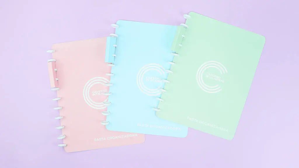 Pasta Organizadora Pasta Organizadora