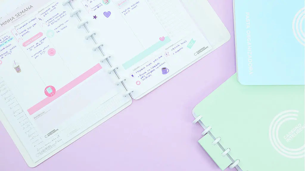 Pasta Organizadora Pasta Organizadora