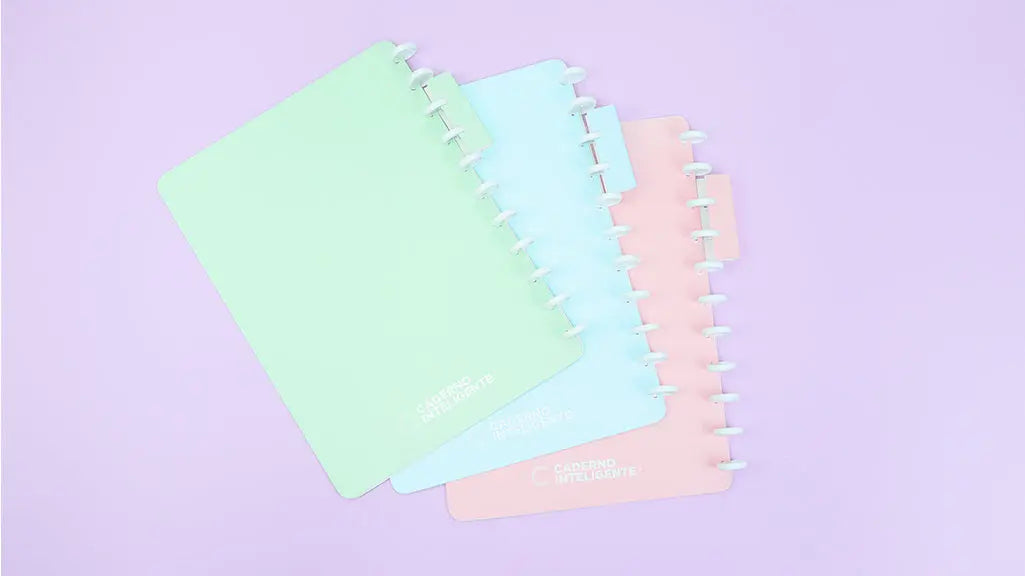 Pasta Organizadora Pasta Organizadora